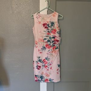 Calvin Klein Sleeveless Sheath Dress, Starburst Detail pink floral size 4, BNWT